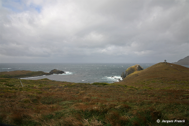 Cap Horn