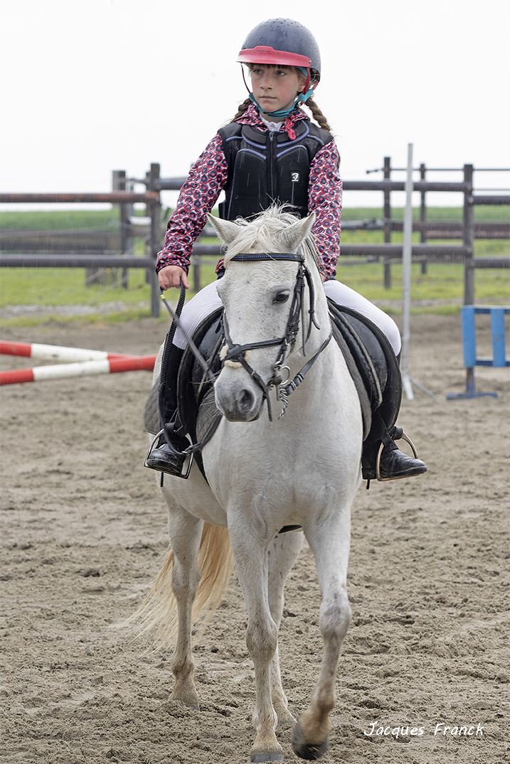 Concours Saut d'Obstacles - Mai 23