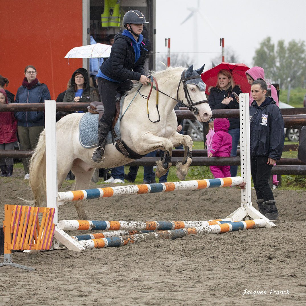 Concours Saut d'Obstacles - Mai 23