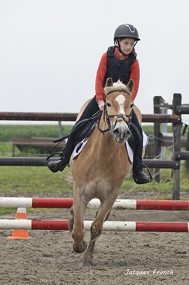 Concours Saut d'Obstacles - Mai 23
