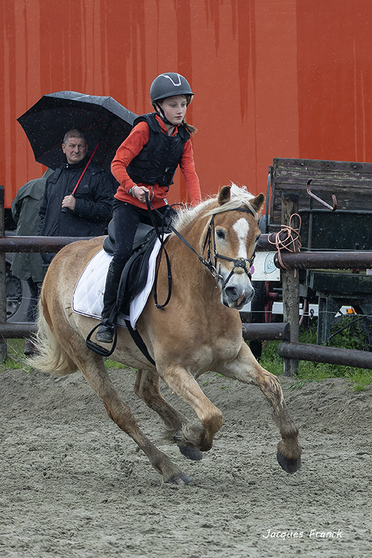 Concours Saut d'Obstacles - Mai 23