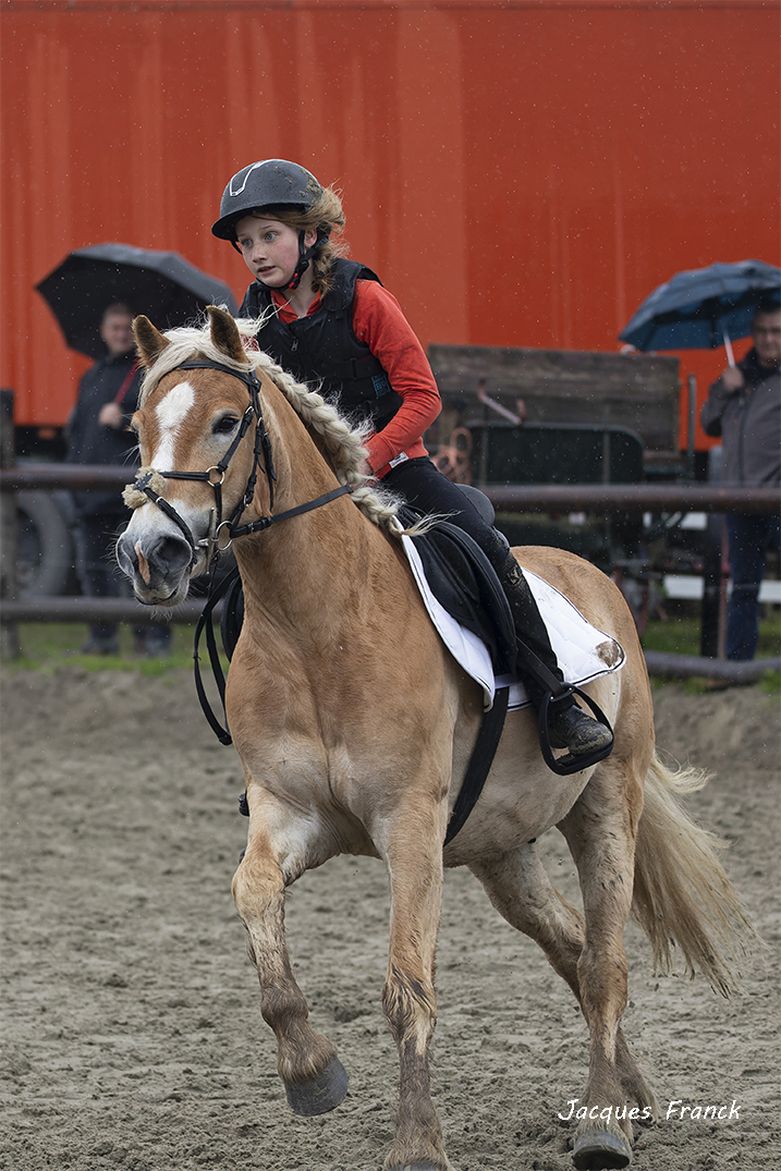 Concours Saut d'Obstacles - Mai 23