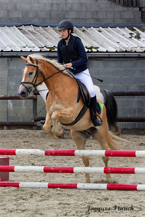 Concours Saut d'Obstacles - Août 23