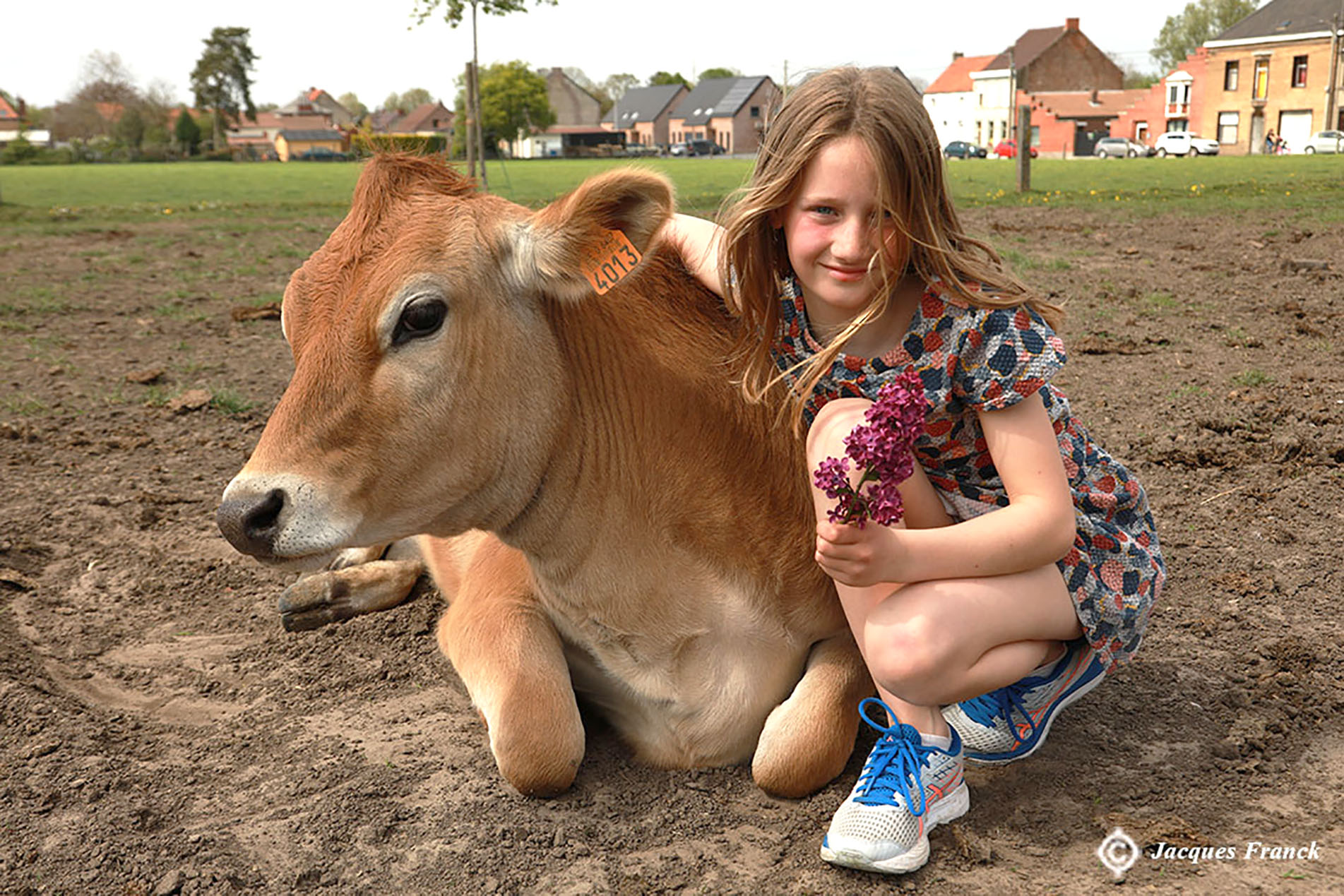 Portrait d'enfant avec une vache